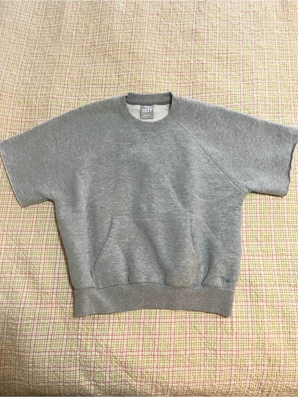 Aritzia TNA short sleeve crewneck sweatshirt